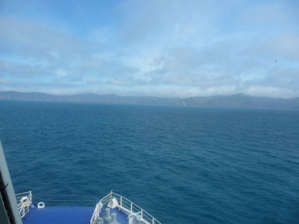 View from the ferry crossing the Cook Strait