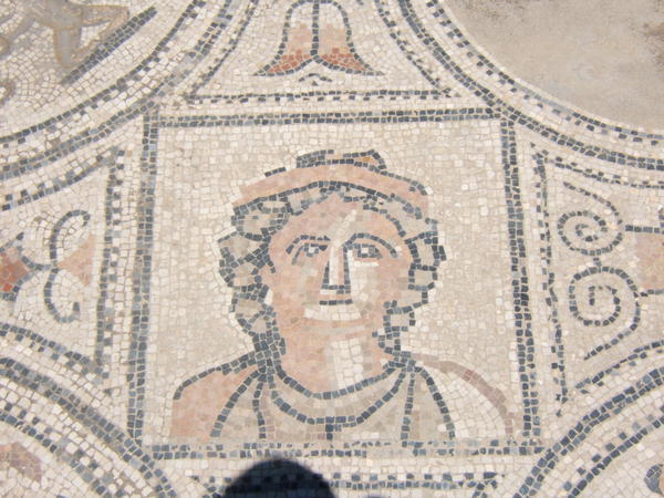 face profile in mosaic 