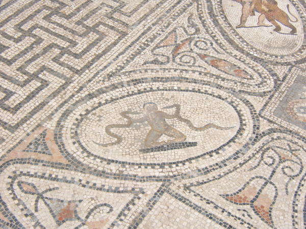 snake wrangler mosaic 