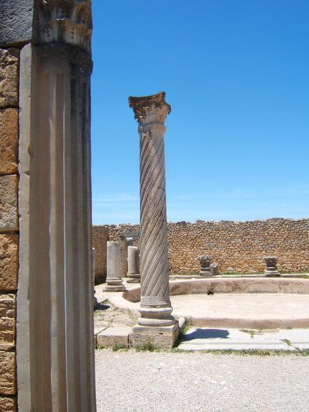 spiral standing column in house of columns