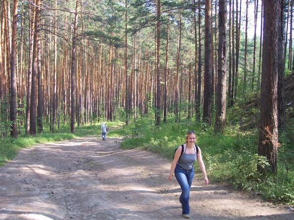 Walk in the forest