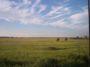 Steppe view