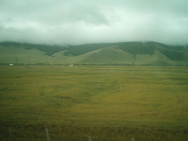 The view from the train