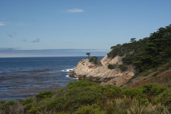 A view on the Punta Lobos SP