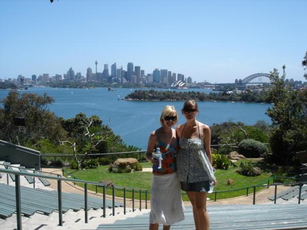 The view from Sydney Zoo
