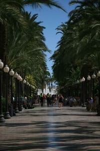 Palm-lined boulevards