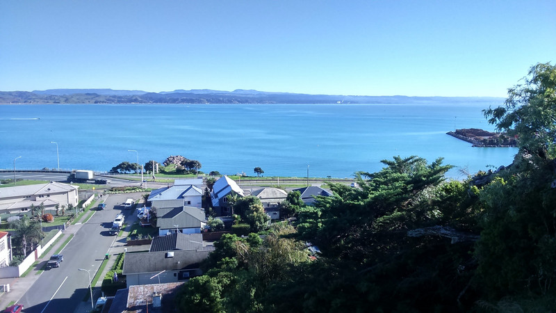 Breakfast view from our Napier Airbnb 