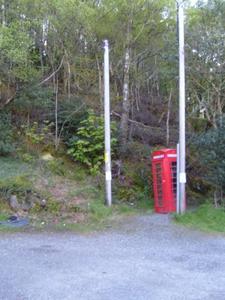 Wild telephone booth!