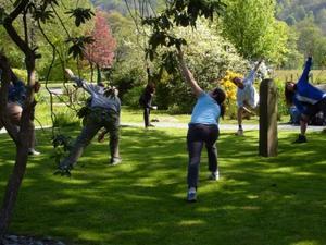 Pre-hike Yoga in Wordsworth daffodil garden