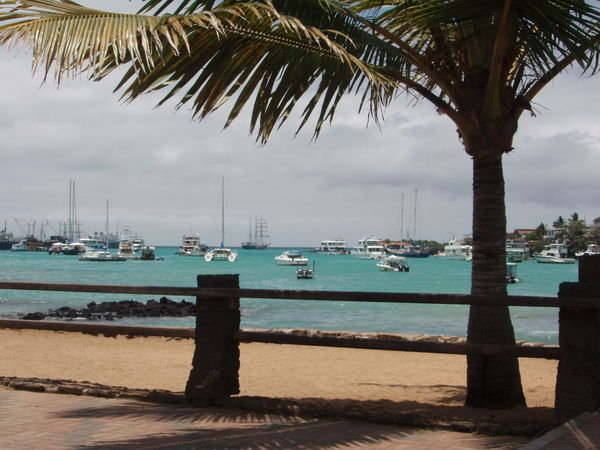 Puerto Ayora