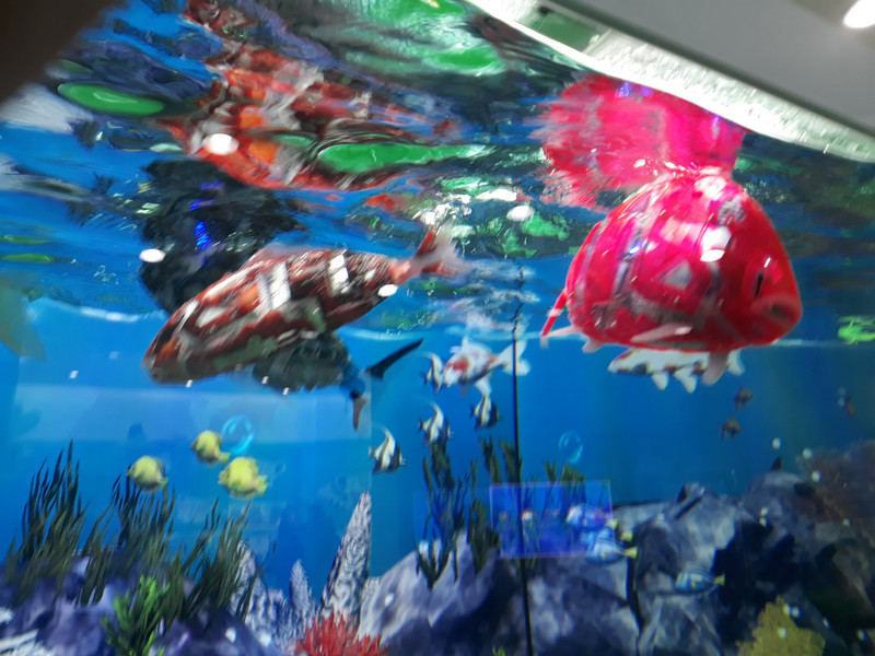 Fake Fish Aquarium
