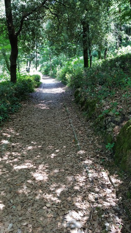 Nice paths nearby castle