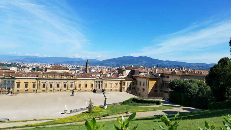 Pitti Palace & City View.