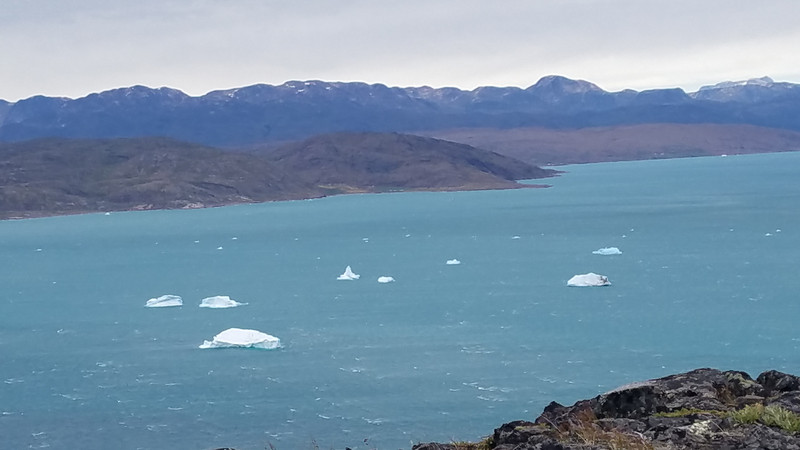 Icebergs in the bay