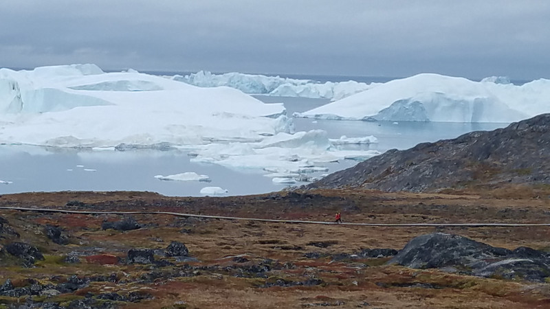 Lots of huge icebergs