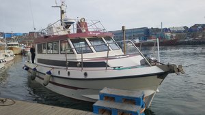 Our boat for sunset iceberg trip