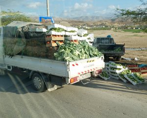 Vegetables along road