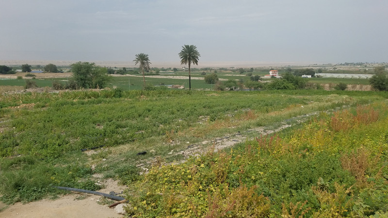 Farms in Jordan Valley