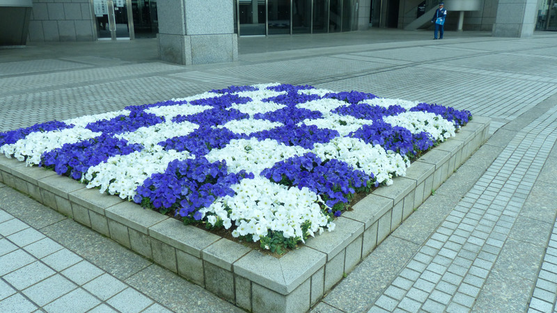 BED OF PURPLE AND WHITE PETUNIAS IN FRONT OF GOVERNMENT BUILDING
