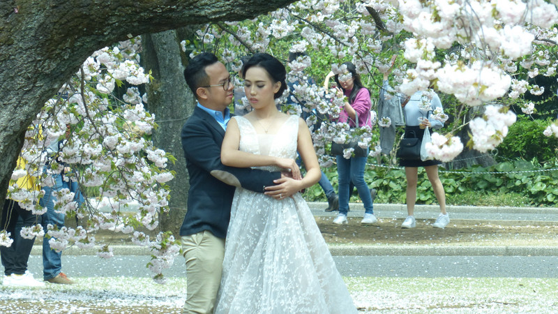 BRIDE AND GROOM IN CHERRY BLOSSOMS