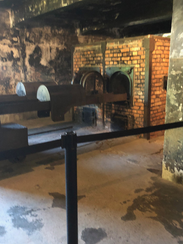TWO OF THE OVENS AT  AUSCHWITZ I