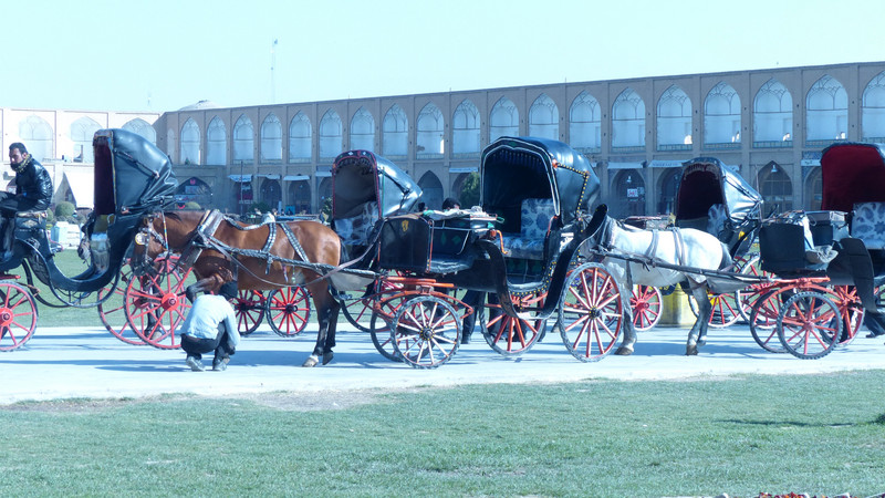 HORSE DRAWN CARRIAGE IN SQUARE