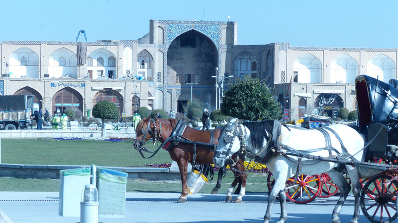 CARRIAGE IN FRONT OF MASJED-E LOFTOLLAH