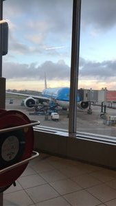 The KLM Plane on the outside.