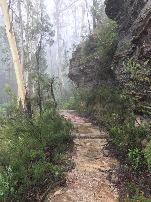 Some Pathway by the Blue Mountains