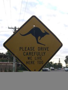 Watch out kangaroos