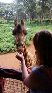 Giraffe Sanctuary