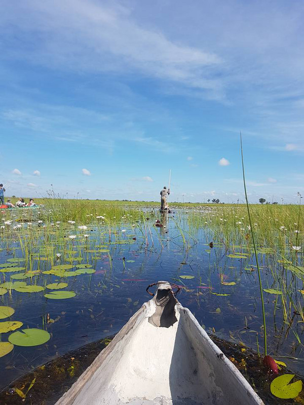 Okavangko Delta 