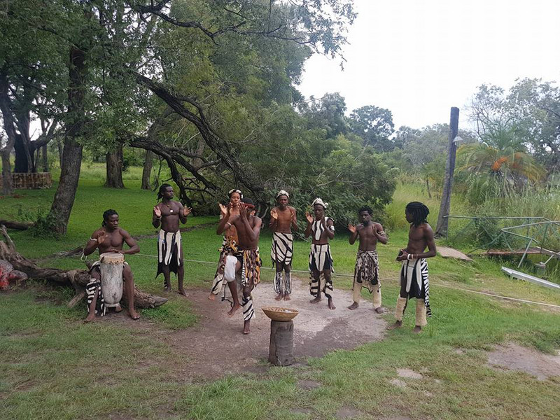 Zimbabwean Dancers