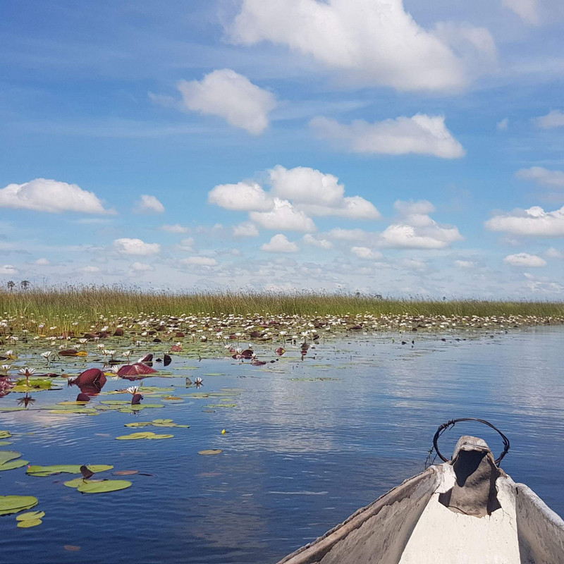 Okavangko Delta.