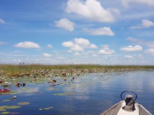 Okavangko Delta