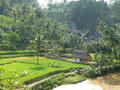 domoroda vesnicka Kampung Naga