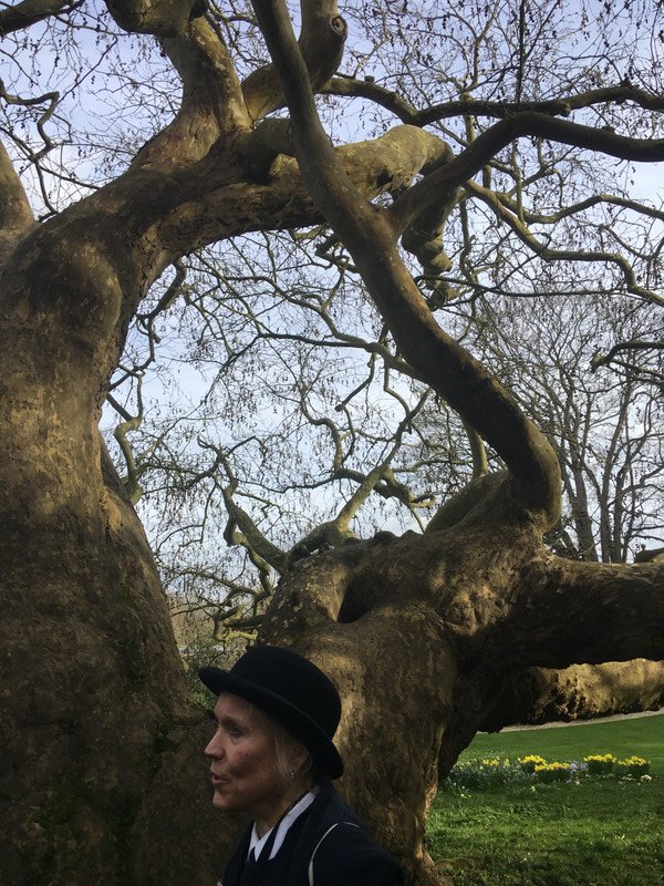 The tour guide and the Jabberwockky Tree