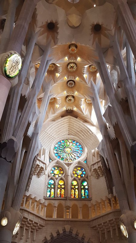 Ceiling of Sagrada Familiar