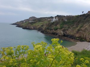 The Coastline in Howth