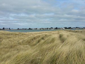 North Bull Island North Bull Island