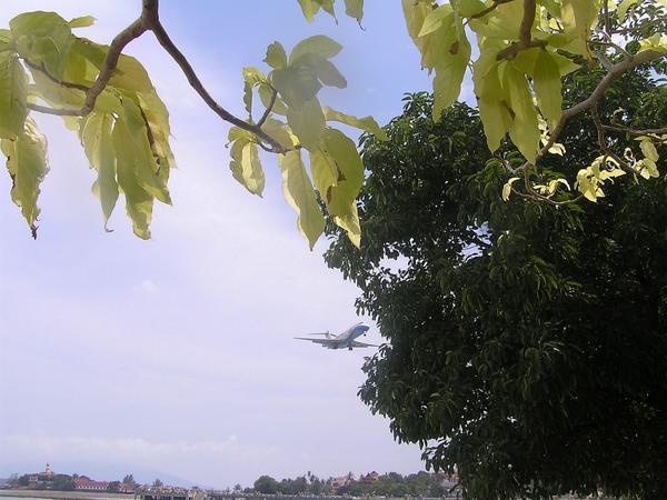 Planes coming into Ko Samui airport