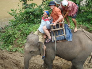 Segunda experiencia en elefante del viaje