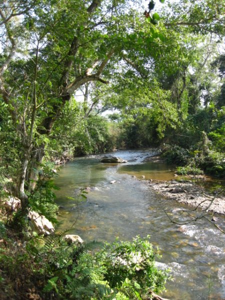 The stream 