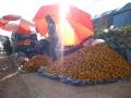 selling oranges by the roadside (Udomxai)