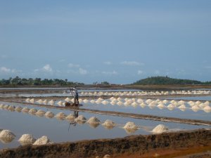 Salt fields on the way to kep