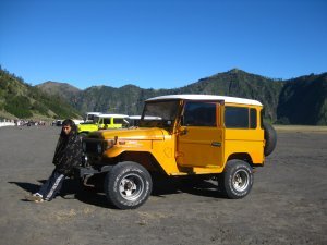 Our Jeep (with Driver)