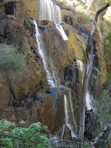 Waterfall at McKenzie falls