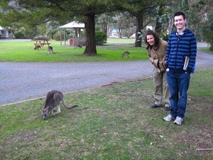 Geting close to the Kangaroos