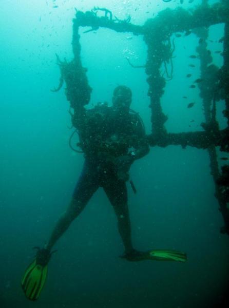 Hanging round the wreck