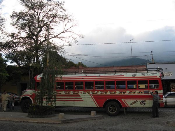 Local 'chicken' bus